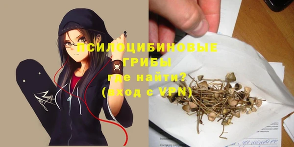прущие грибы Новодвинск