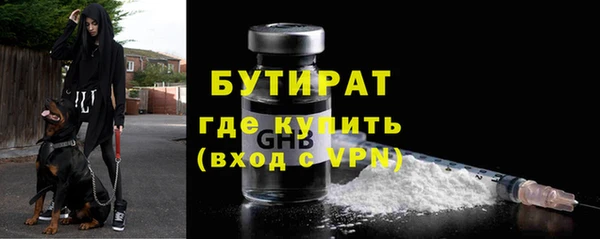 прущие грибы Новодвинск