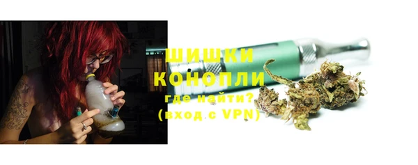 прущие грибы Новодвинск