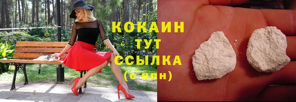 прущие грибы Новодвинск