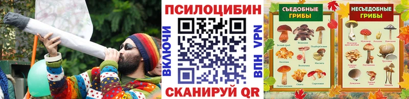 купить закладку  Мурино  Галлюциногенные грибы Magic Shrooms 