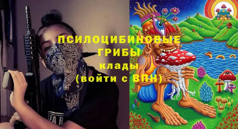 Псилоцибиновые грибы мицелий  Мурино 