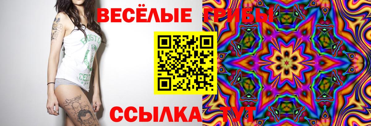 Псилоцибиновые грибы мицелий Мурино