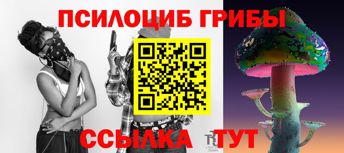 Псилоцибиновые грибы Psilocybine cubensis  Псилоцибиновые грибы MAGIC MUSHROOMS  Мурино 