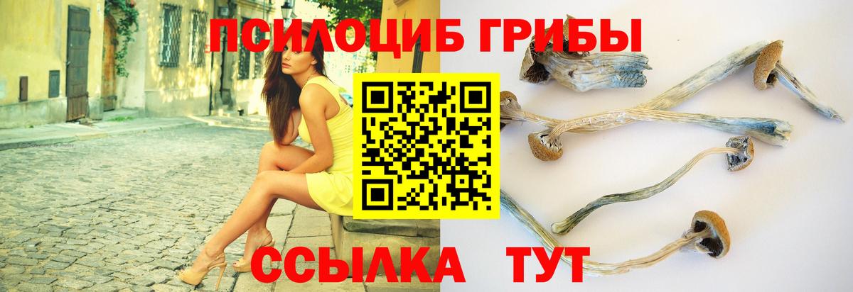 Мурино  Галлюциногенные грибы мицелий  Вход с VPN 